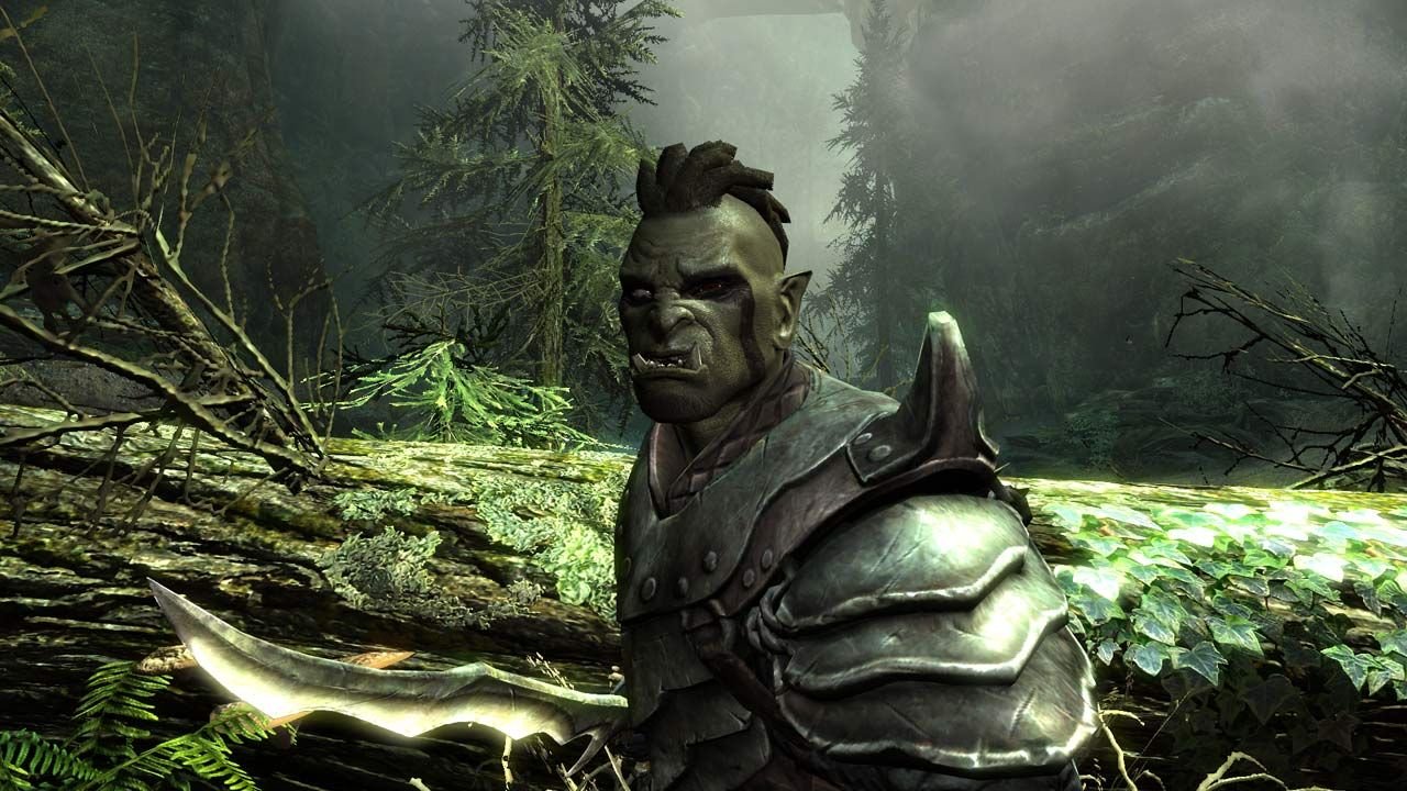 The Elder Scrolls V Skyrim thats An Ork