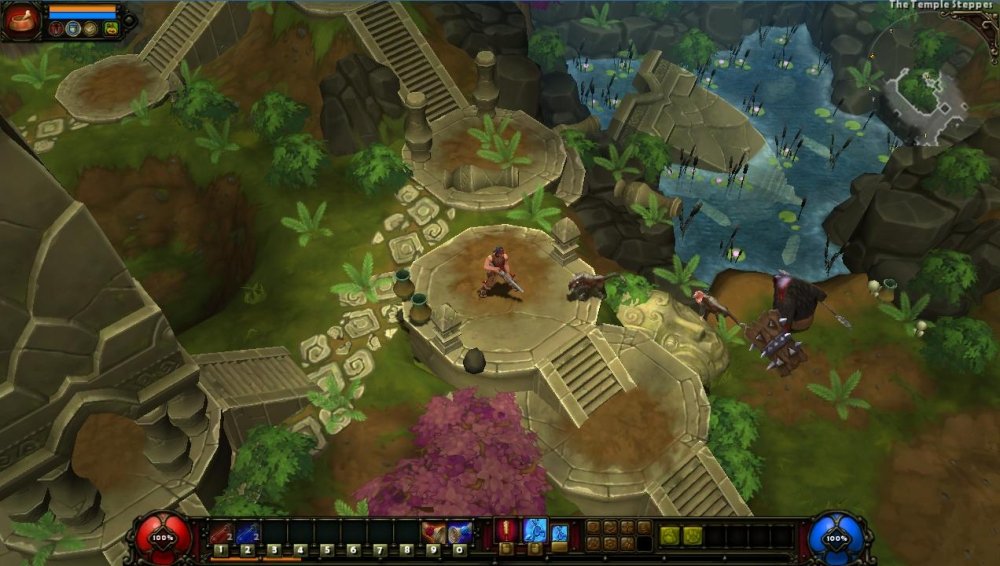 Torchlight 2 8