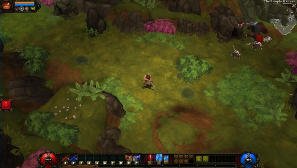 Torchlight 2 7