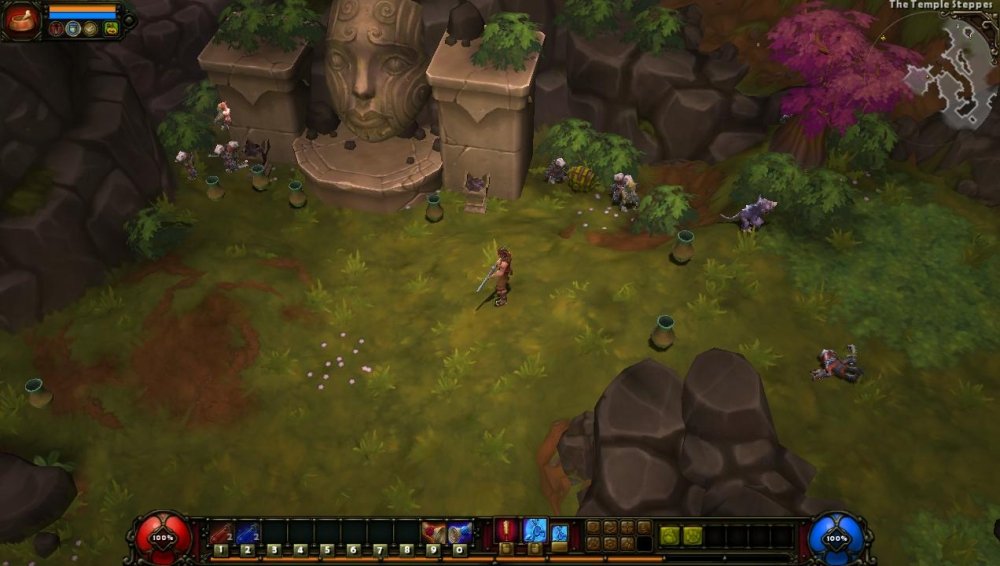 Torchlight 2 6