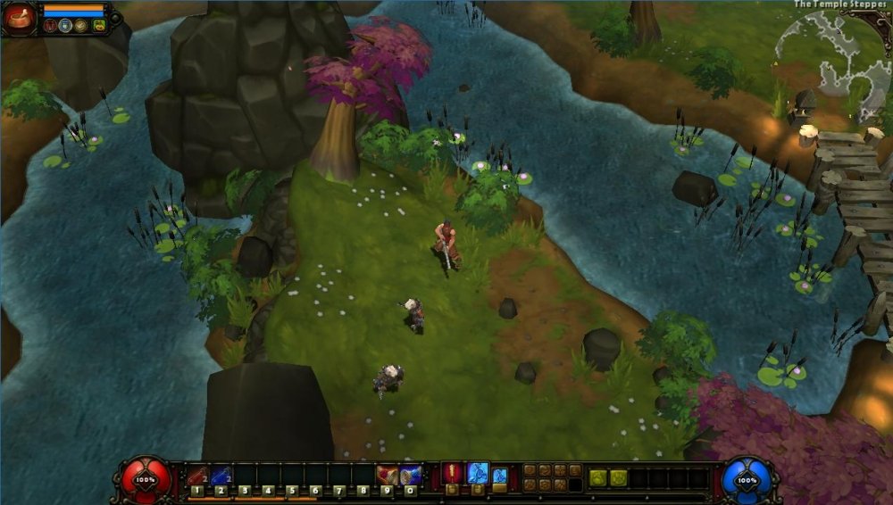 Torchlight 2 5