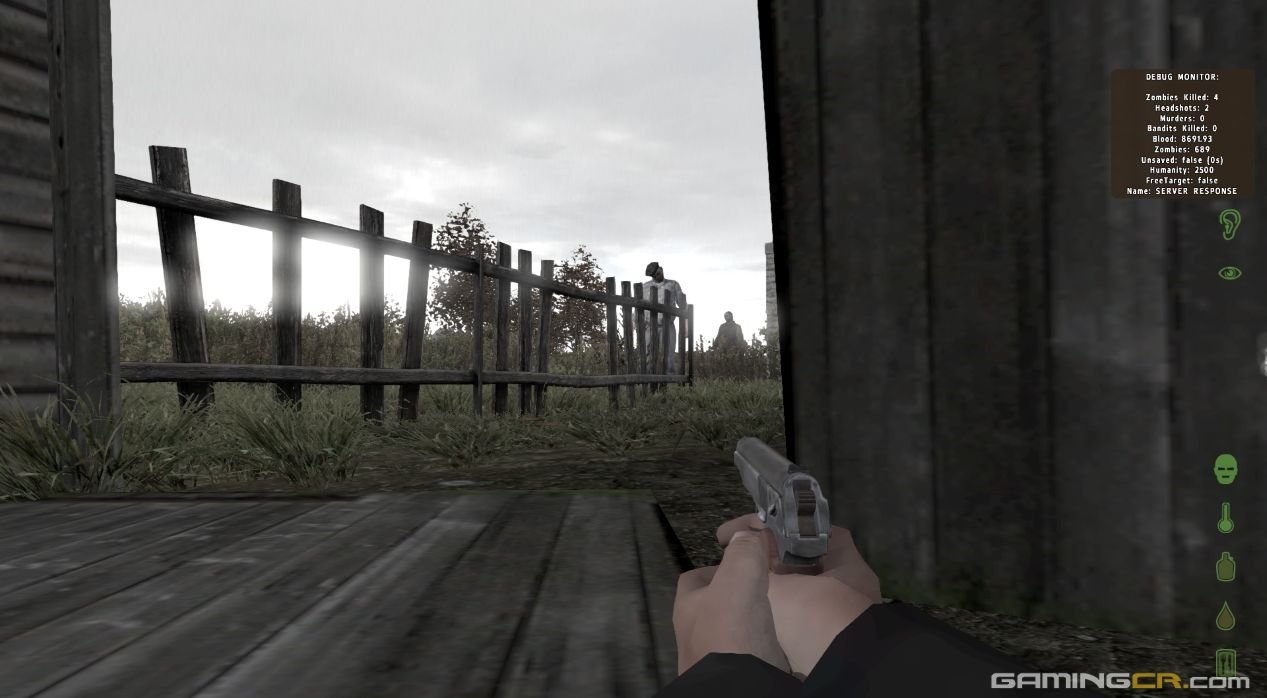 dayz01