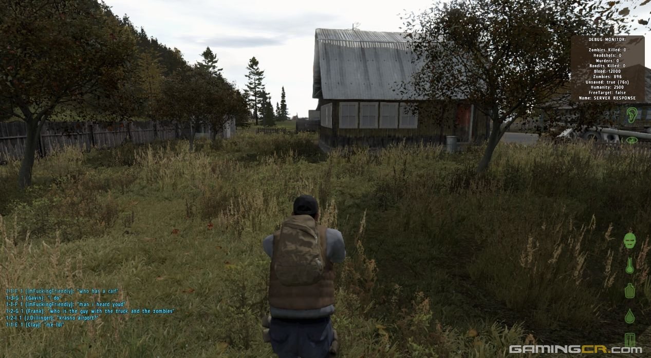 dayz01a