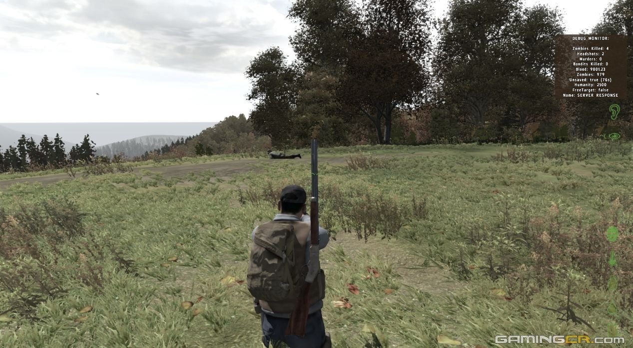 dayz04a