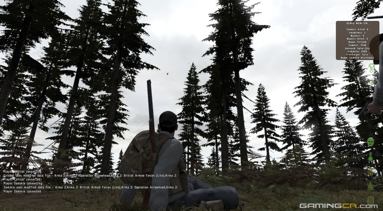 dayz06